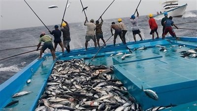 الجابون تواجه نقصا في الأسماك بعد حظر الصيد