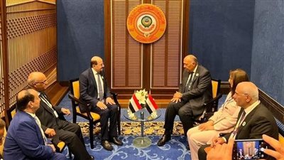 وزير الخارجية يؤكد التزام مصر بدعم اليمن للتوصل لحل سياسي 