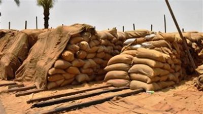  توريد 206 آلاف طن قمح بشون وصوامع المنيا  