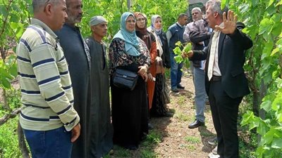 نشرة الأنشطة الإرشادية والخدمية لمعهد أمراض النباتات خلال ابريل 2024
