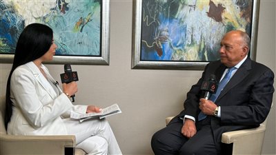 شكري: إنهاء الحرب في غزة يتصدر أولويات القادة العرب في قمة المنامة