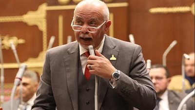 حازم الجندي: القمة العربية تأتي في خضم ظروف استثنائية