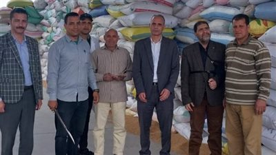 توريد 188 ألف طن قمح لشون وصوامع البحيرة 