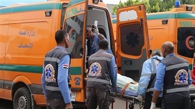 معطر جو .. يتسبب في إصابة مدرسة وصديقتها في الدقهلية |ما القصه 