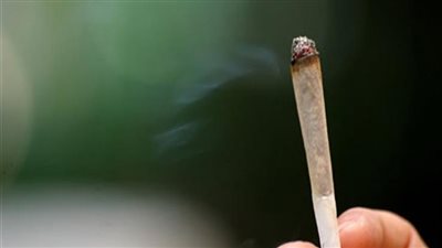 إحباط ترويج كمية من الحشيش في الإسكندرية 