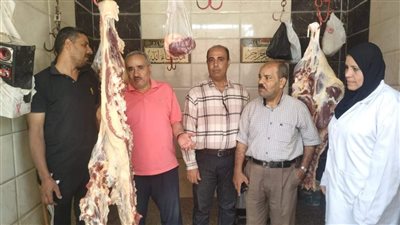 ضبط لحوم غير صالحة للاستهلاك الآدمي بالفيوم 
