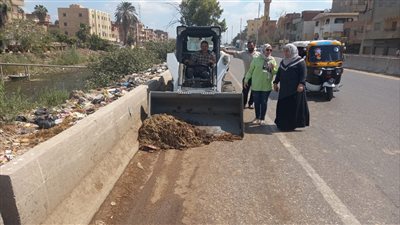 رفع 730 طن قمامة بالمنطقة المركزية في الدقهلية