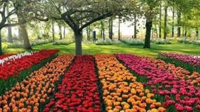 معرض زهور الربيع في دورته 91 يزدهر في المتحف الزراعي