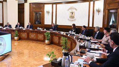 مدبولي: أتابع بانتظام جهود خفض أسعار السلع بعد توفير النقد الأجنبي