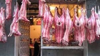 أسعار اللحوم قبل عيد الأضحى.. الضانى البرقي بـ 500 جنيه 