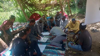 الفاو :11 مدرسة  حقلية  لمكافحة سوسة النخيل في 4 محافظات مصرية