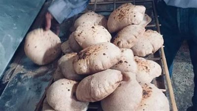 تكثيف الحملات التموينية على المخابز السياحية والبلدية بالفيوم 