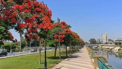 طقس شديد الحرارة على الأجواء بالإسماعيلية 