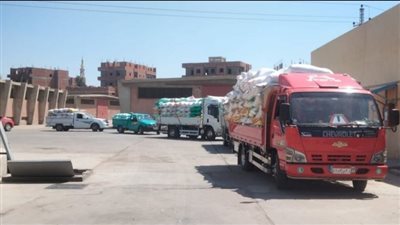 استقبال 575255 طن من الذهب الأصفر بالمواقع التخزينية في الشرقية