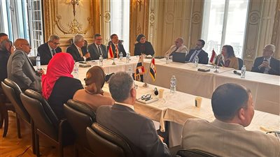 وزير التعليم العالى يجتمع بنخبة من العلماء المصريين بالجامعات البريطانية