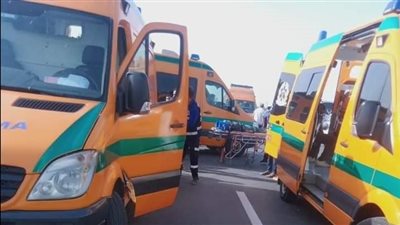 طلب تحريات مصرع لص تسلل إلى شقة لسرقتها بالمرج