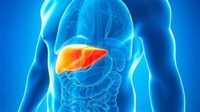 الألم الخفيف تحت الأضلاع يشير إلى مرحلة متأخرة من مرض الكبد الدهني