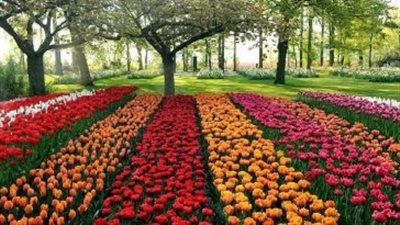 اليوم الأحد.. افتتاح معرض زهور الربيع بالمتحف الزراعي للجمهور 