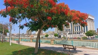 استمرار موجة الحر الشديدة على الأجواء بالإسماعيلية 