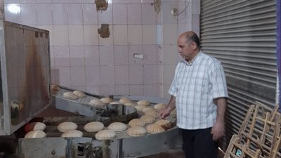 ضبط مبيدات زراعية وزيت طعام منتهي الصلاحية بالبحيرة