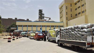 محافظ أسيوط: إستلام 137ألف طن قمح محلي بالشون والصوامع 