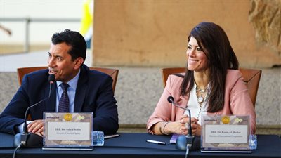 المشاط: 10.3 مليار دولار تمويلات مُيسرة واستثمارات للقطاع الخاص خلال 4 سنوات