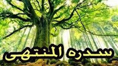 خيمة من لؤلؤ .. ما العدد الحقيقي للحور العين للمسلم في الجنة؟