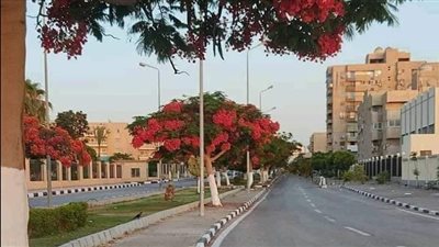 طقس شديد الحرارة بمدن ومراكز الإسماعيلية