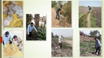 إنطلاق فعاليات الحملة القومية لمكافحة القوارض بمراكز ومدن الشرقية