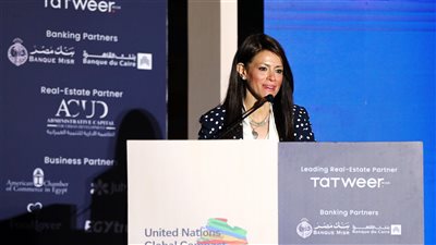 المشاط: 10.7 مليار دولار تمويلات تنموية للقطاع الخاص من شركاء التنمية منذ 2020 