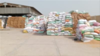 توريد 203 ألف طن قمح لشون وصوامع البحيرة