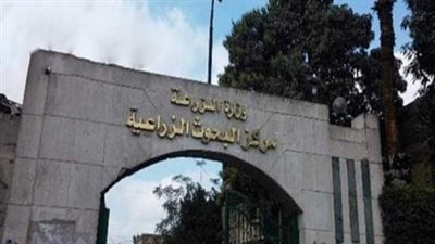 المركزي للمبيدات يشارك في ورشة عمل بالمغرب حول الإدارة البيئية السليمة للمبيدات 