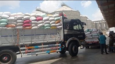 وسط فرحة غامرة من المزارعين.. شون وصوامع الشرقية تواصل ستقبال القمح 