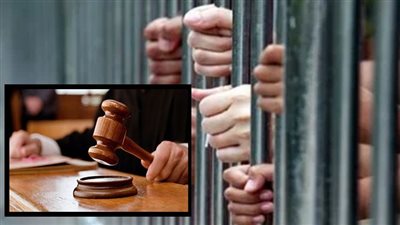 إحالة عاملين بفندق لاستضافة وتربية الكلاب للمحاكمة بتهمة السرقة