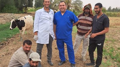 بحوث الصحراء ينظم قافلة بيطرية مجانية لمدينة الفرافرة بـ 