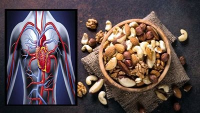 أطعمة يوصي بإدراجها في نظامك الغذائي لحماية الأوعية الدموية