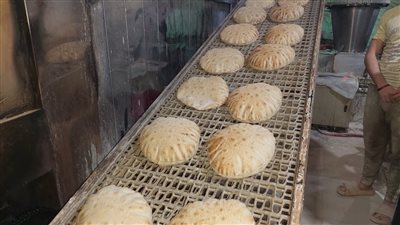 تحرير 7 محاضر تموينية بمدينة دسوق في كفر الشيخ