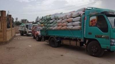 توريد 587 ألف طن قمح لشون وصوامع الشرقية 