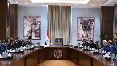 رئيس الوزراء يُتابع مع ممثلي قطاع الدواء سُبل توطين الصناعة