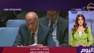 أستاذ علاقات دولية: كلمة مندوب مصر بمجلس الأمن 