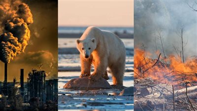 أستاذ الدراسات البيئية: تغيرات المناخ تشكل تهديدًا كبيرًا للأمن المائي والغذائي