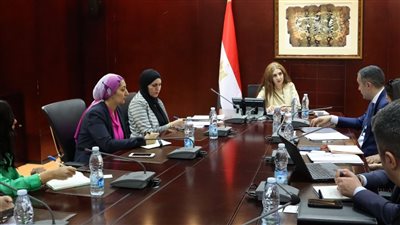 هيئة الاستثمار ووكالة الاستثمار الآذرية تبحثان تعزيز التعاون بين البلدين