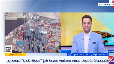 اقتصادي: ضخ سيولة نقدية للمصدرين تزيد قدرة المنتج المصري التنافسية