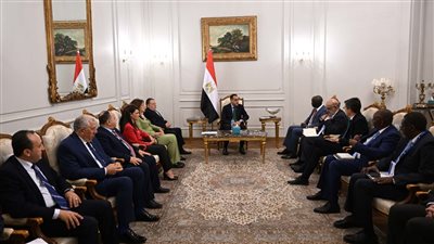 رئيس الوزراء يستعرض ملفات التعاون المشتركة مع نائب رئيس مجموعة البنك الدولي