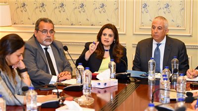 الهجرة تضع خطة عمل للعام المقبل للمزيد من التواصل مع المصريين بالخارج 