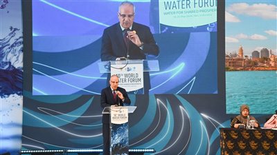 وزير الري: منظمات أحواض الأنهار يجب أن تضم كل الدول المتشاطئة على النهر