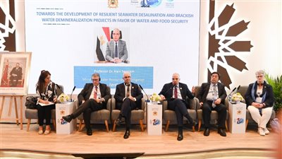 وزير الري: من الضرورى الاعتماد على تحلية المياه مستقبلاً لمواجهة تحدياتها 