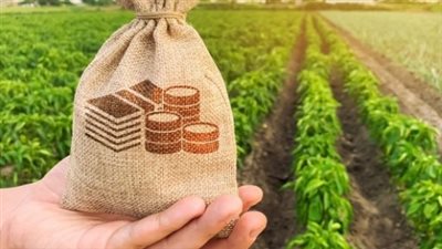 اهتمام الهيئة العربية للاستثمار والإنماء الزراعي|تقاصيل