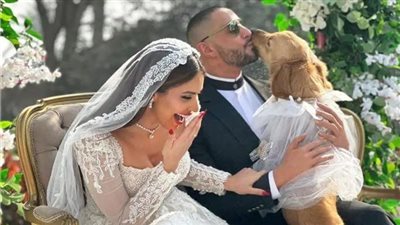 بداية ضعيفة لفيلم بنقدر ظروفك في شباك تذاكر السينمات