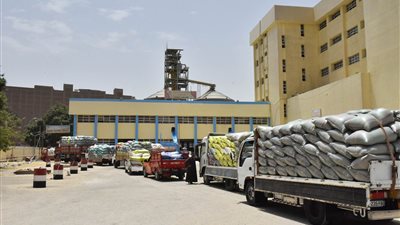 الإنتهاء من حصاد المساحة المنزرعة بالقمح وتوريد 153 ألف طن بأسيوط